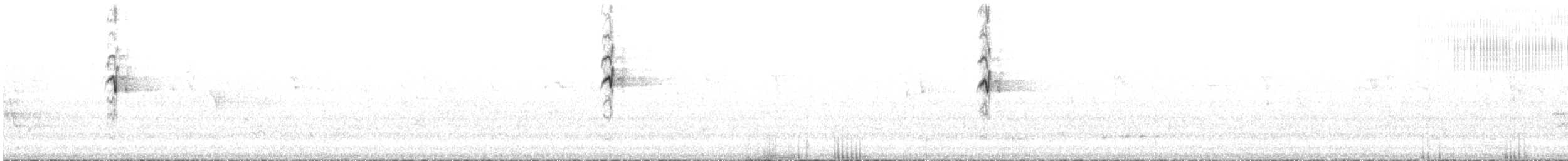 hvitsmykkehonningeter - ML600338661