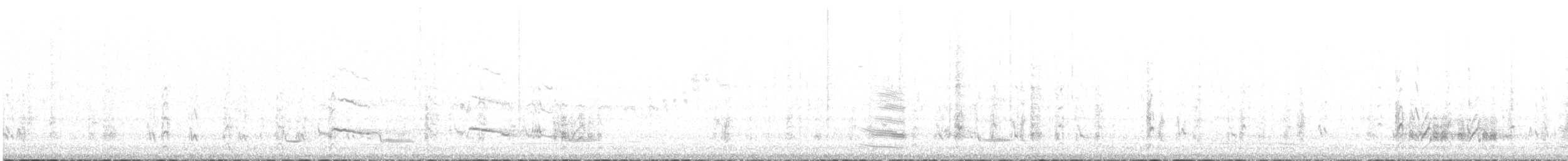 White-browed Babbler - ML600340621