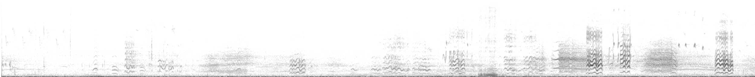 kakadu ostrozobý - ML600341881