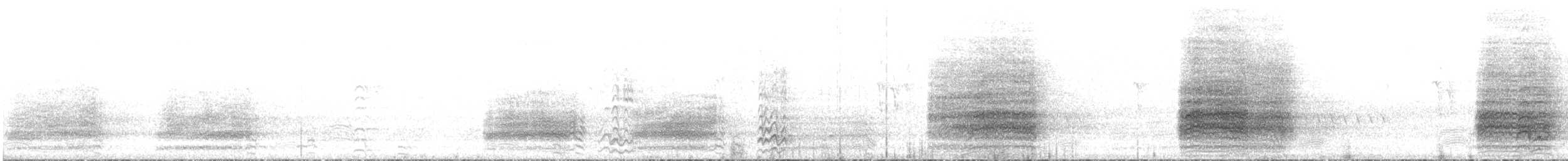 kakadu ostrozobý - ML600341891
