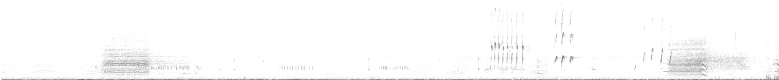 Черногрудый зуёк - ML600341961