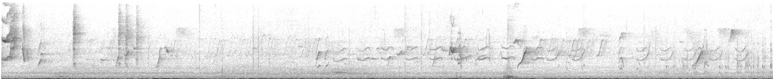 praktrosella - ML600343391