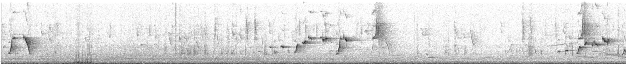 gallaviftestjert - ML600343831
