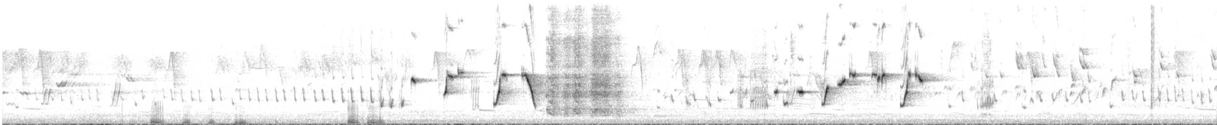 gallaviftestjert - ML600343851