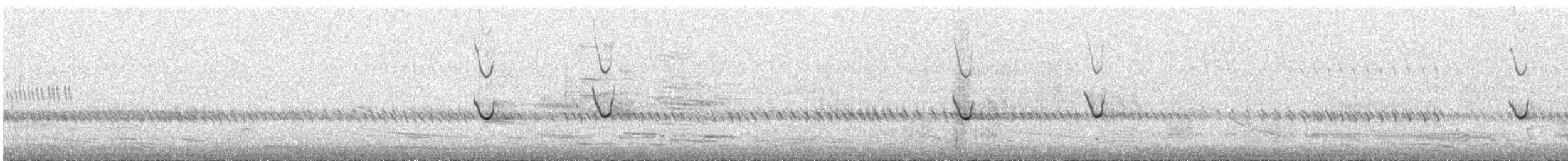 Black-shouldered Kite - ML600344341