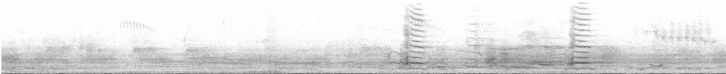 Australian Magpie - ML600346371