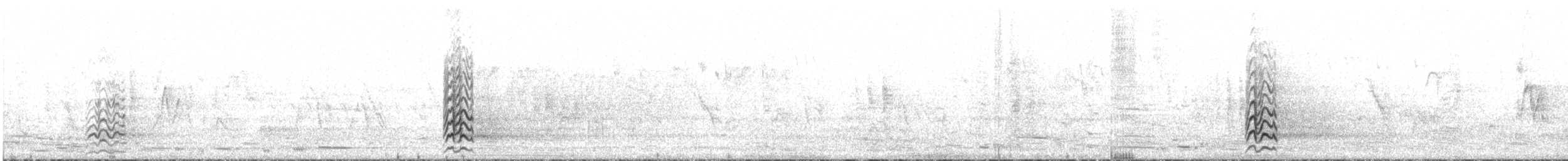 kakadu ostrozobý - ML600347011