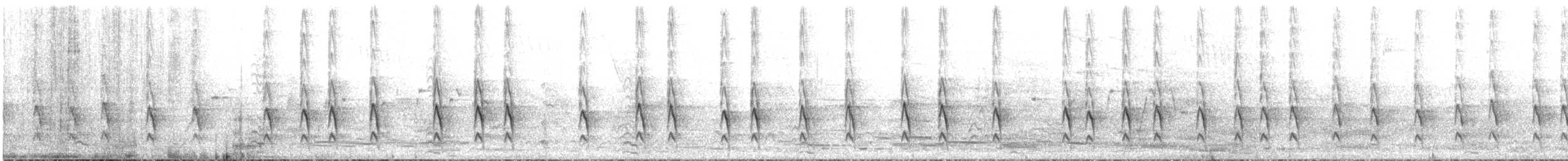 Méliphage serti - ML600347441