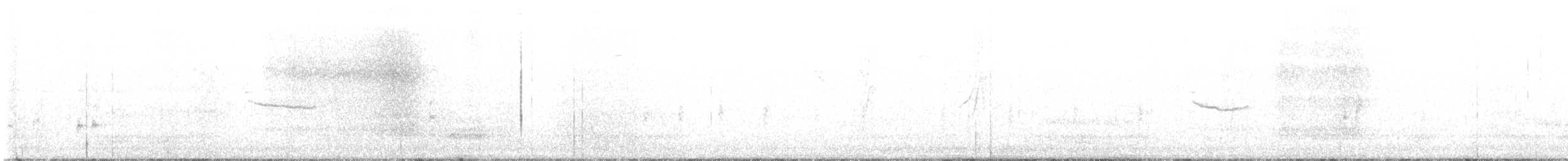 drozdec černohlavý - ML600362841