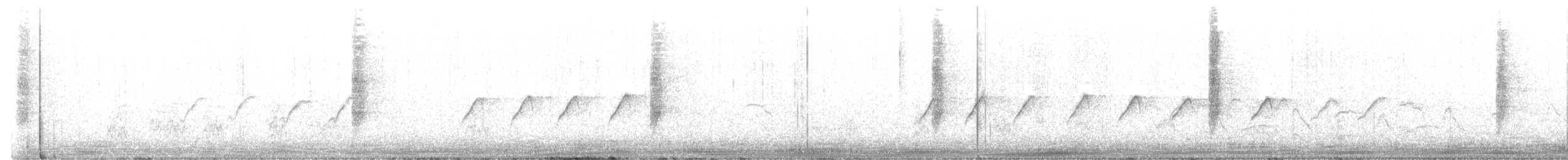 Weißbinden-Spottdrossel - ML600375781