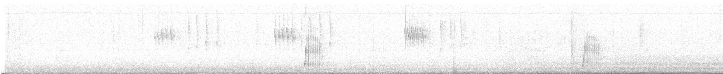 holoubek skřehotavý - ML600378931