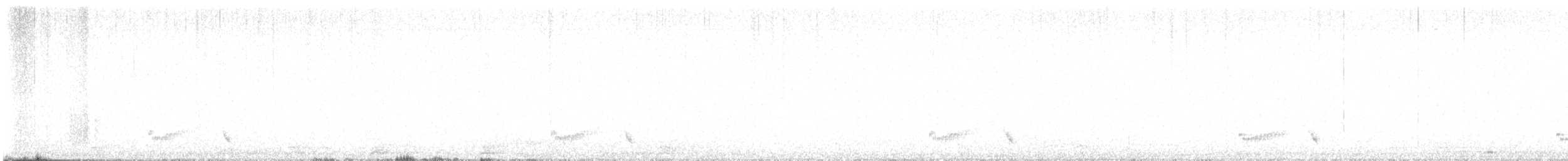 holoubek černokřídlý - ML600383511
