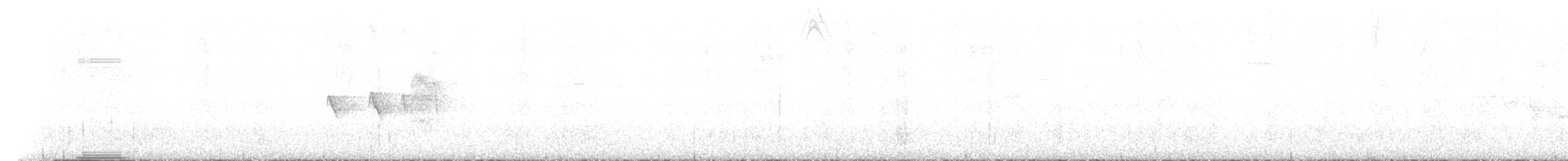 Strichelkopf-Ameisenfänger - ML600389841