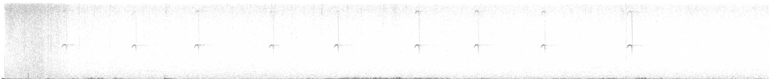 Colibri géant - ML600396241