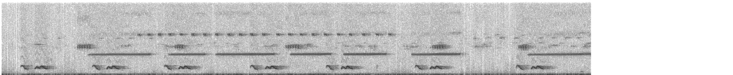 Chotacabras Ticuer - ML600400131