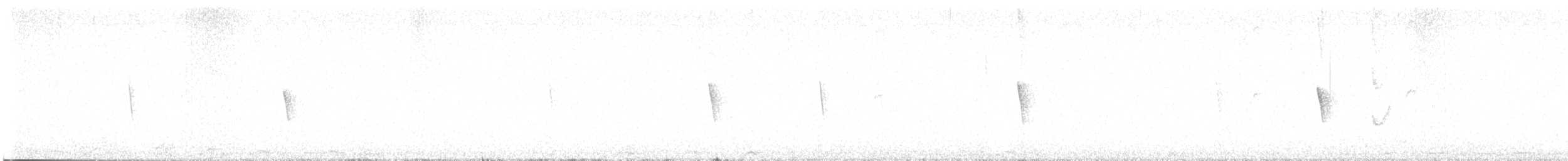 Колібрі-плямохвіст андійський - ML600402981