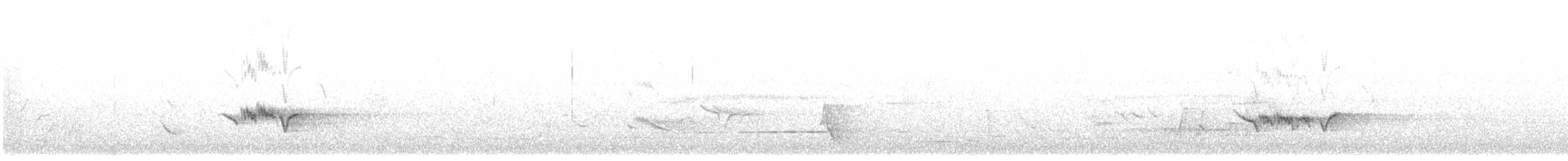 blåtrost (philippensis) - ML600403011