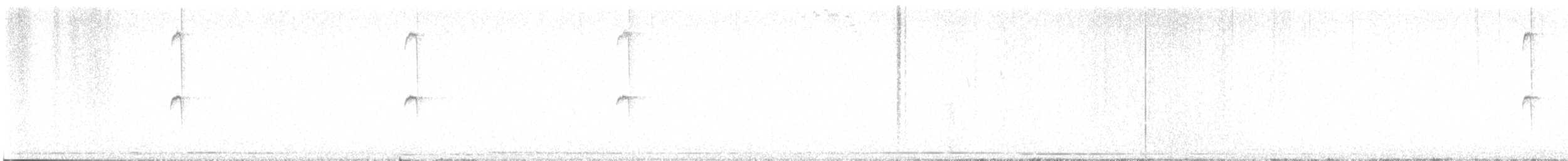 Colibri géant - ML600412491