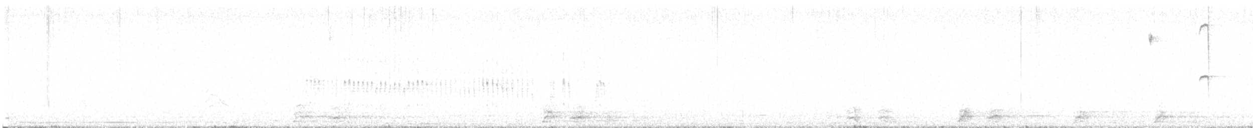 Colibri géant - ML600413491