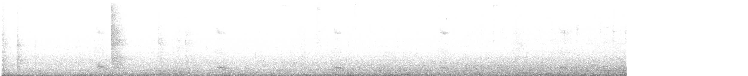 holoubek skřehotavý - ML600419651