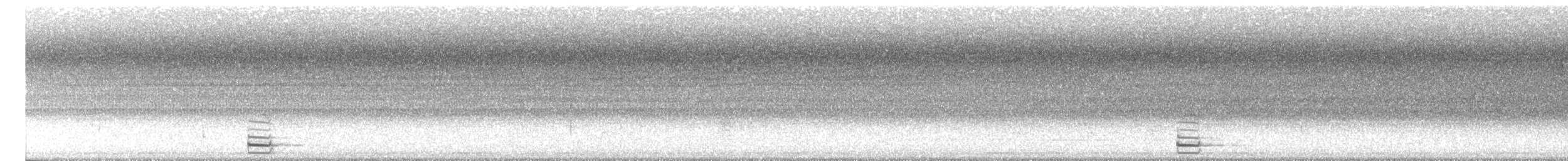 Şeritli Kestane Yelvesi - ML600421521