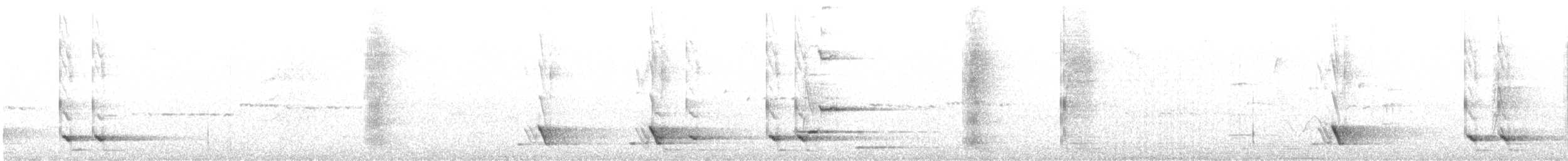 Méliphage carillonneur - ML600427361