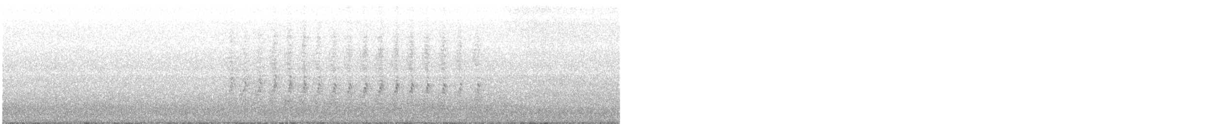 Chara de Steller (grupo diademata) - ML600472121