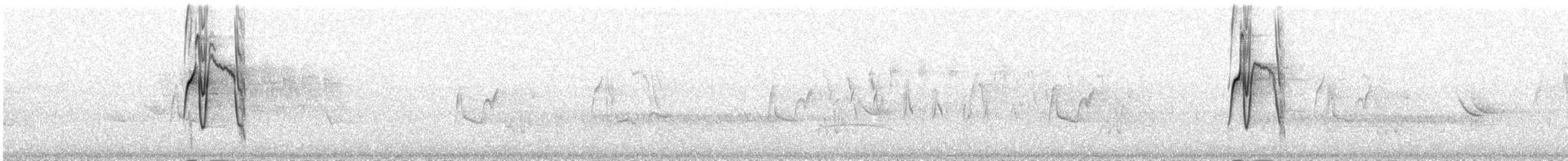 Nord-Fleckenmaskentyrann - ML600495421