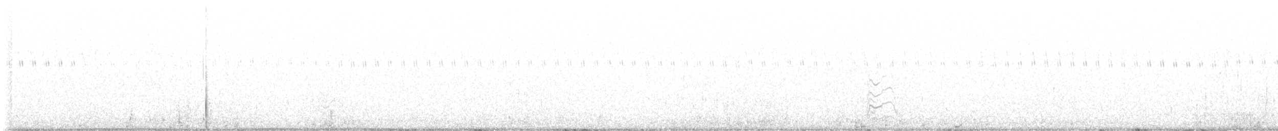 Royal Tern - ML600503691