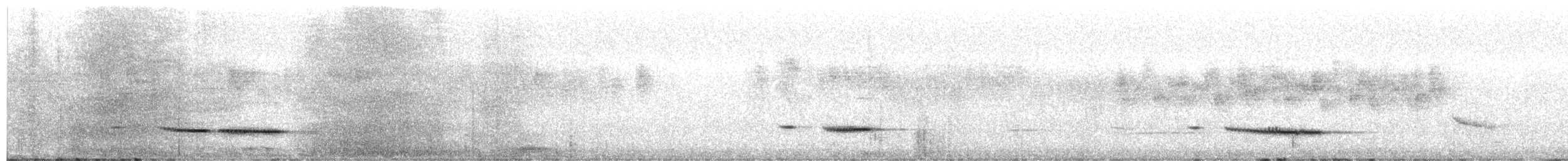 Gri-Siyah Kızılca Bülbül (mbuluensis) - ML600509981