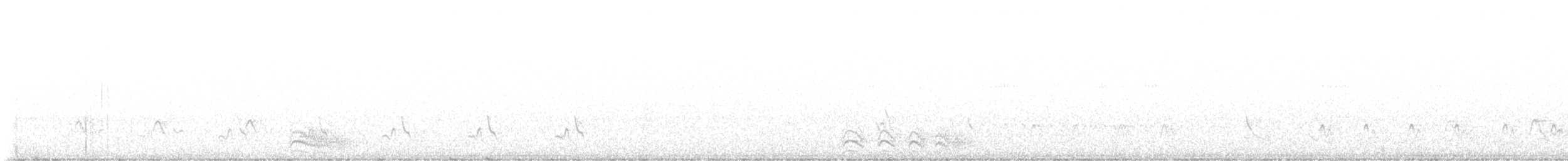Barred Antshrike (Caatinga) - ML600572001