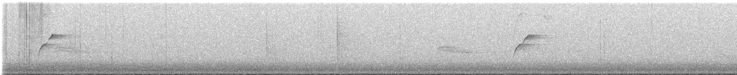 Batı Amerika Sinekkapanı (occidentalis/hellmayri) - ML600603271