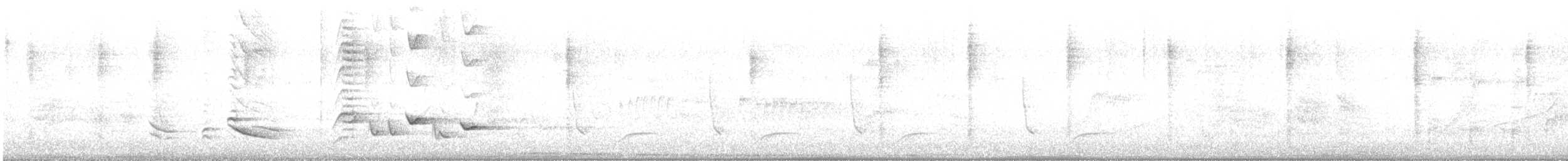 Pepitero Grisáceo Norteño - ML600615511