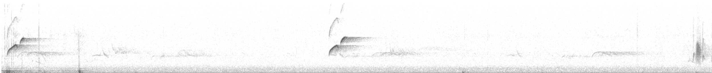 Western Flycatcher (Cordilleran) - ML600618591