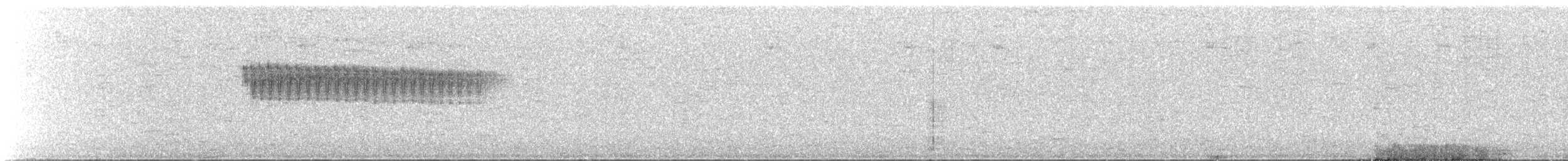 Percefleur à flancs blancs - ML600660561