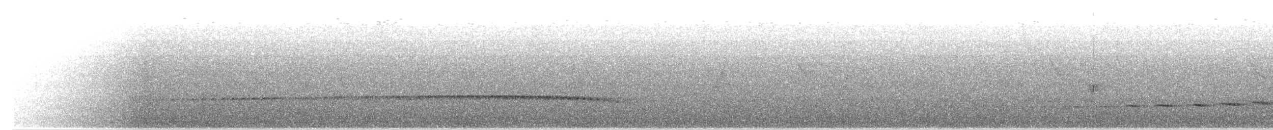 Grallaire de Natterer - ML600669791