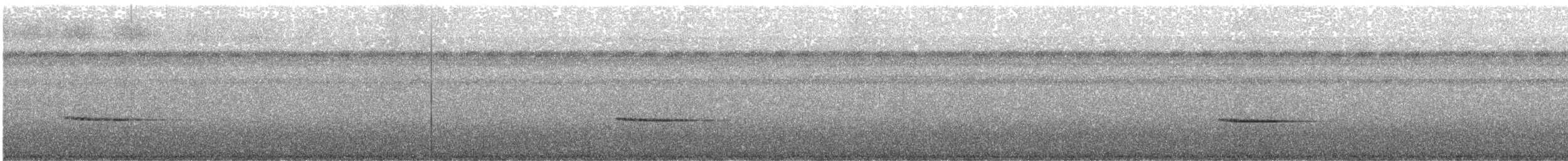Troglodyte siffleur - ML600688871