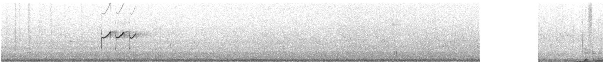 Solitary Sandpiper - ML600706141