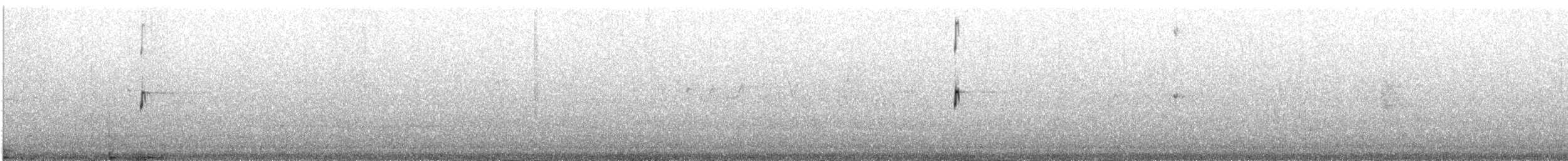 Solitary Sandpiper - ML600706151