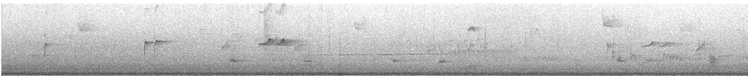 Solitary Sandpiper - ML600706181