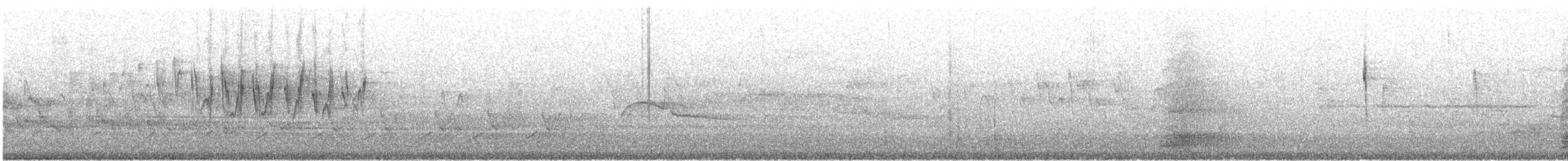 Palm Warbler (Western) - ML600709551
