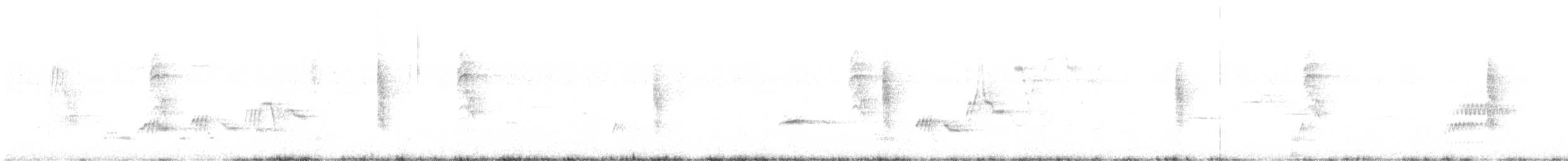 Дрізд-короткодзьоб Cвенсона - ML600724901