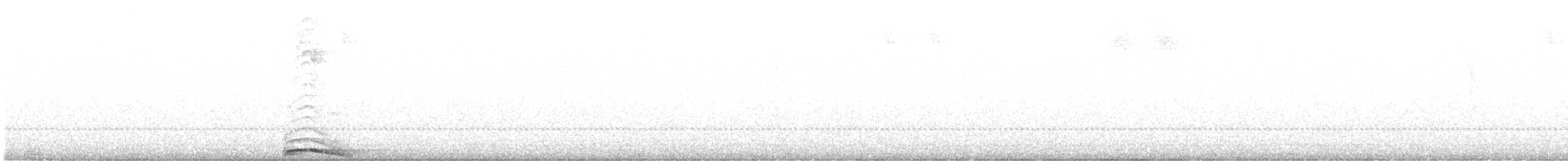 Сова-лісовик [неописана форма хмарного лісу] - ML600743291