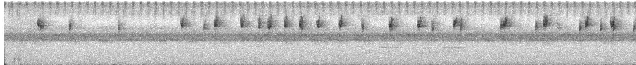 new world sparrow sp. - ML600750851