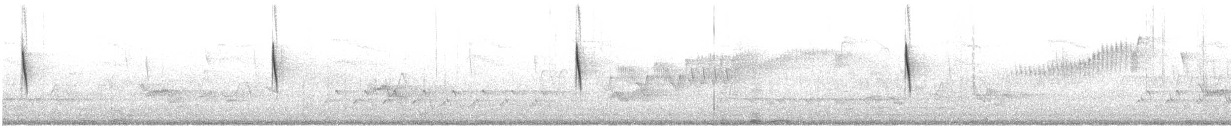 Пісняр-лісовик чорнощокий - ML600751931