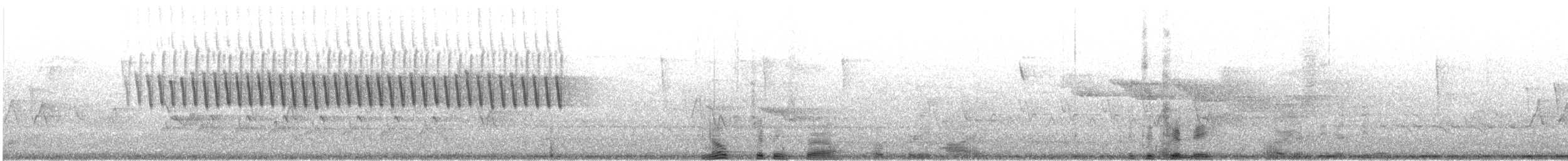 Карнатка білоброва - ML600752001