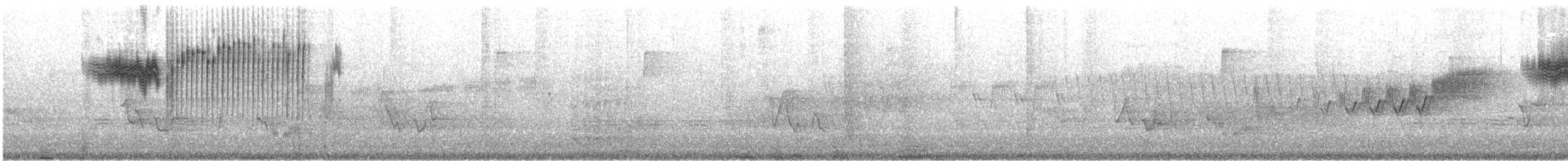 Червоїд жовтоголовий - ML600752101