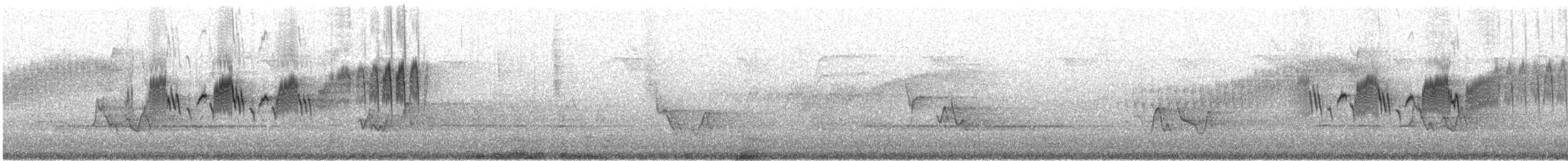 Пісняр північний - ML600752141