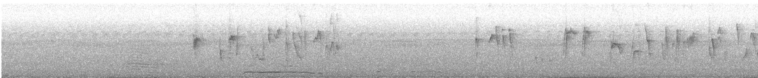 Ak Kuyruklu Gökçe Sinekkapan - ML600819671