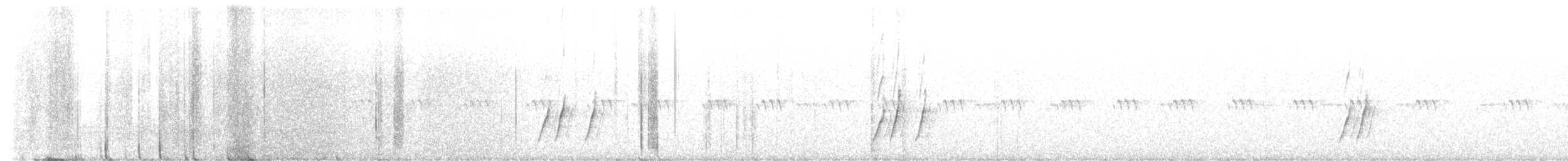 Krummschnabel-Spottdrossel - ML600865611